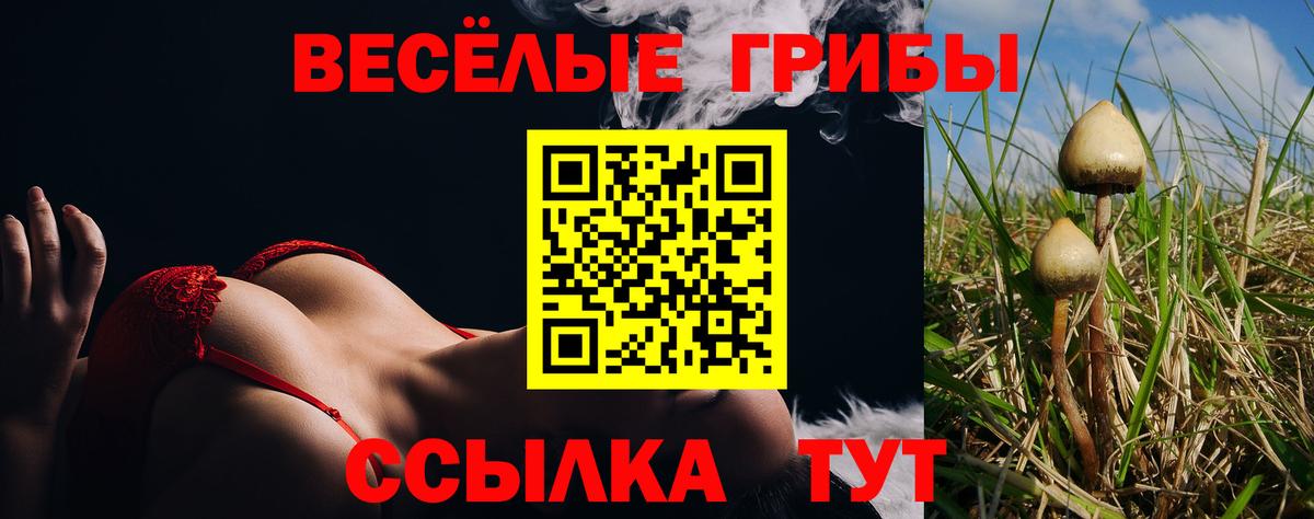Королёв  Псилоцибиновые грибы мухоморы  Вход с VPN 